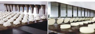 Cookie Modling Machine factory